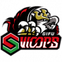 Gifu Swoops Japan B3.League