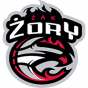 Zory Katowice U-14 