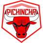 Pichincha Potosi Liga Sudamericana